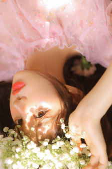 金花瓶楷梅花1玉女心